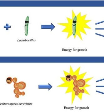 Aplicaciones de la fermentación