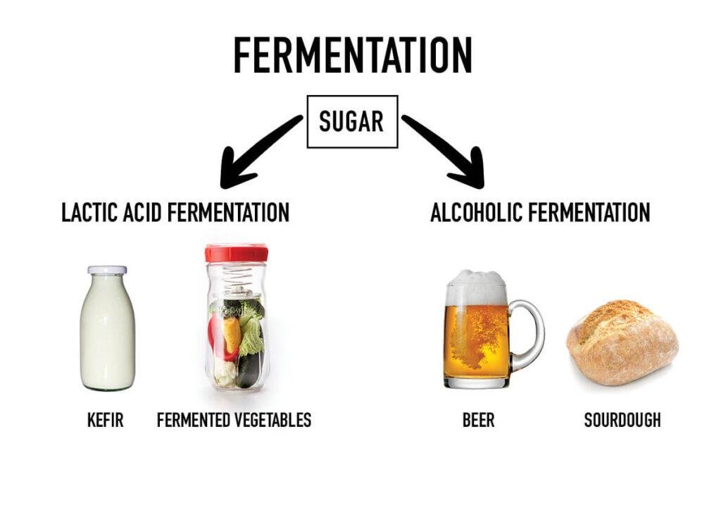 Fermentación en la conservación de alimentos: métodos y resultados