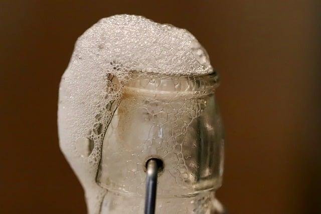 Impacto de la fermentación en la biodisponibilidad de polifenoles en la kombucha