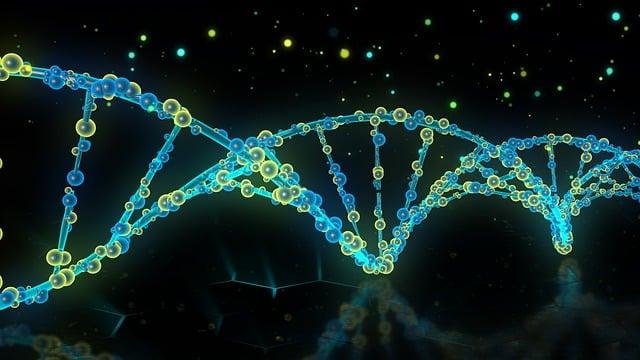 Principios bioquímicos de la fermentación alcohólica