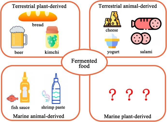 Tipos de fermentación y sus aplicaciones en la conservación