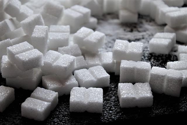 Diferencias entre carbohidratos fermentables