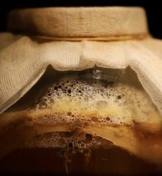 Alimentos fermentados para niños