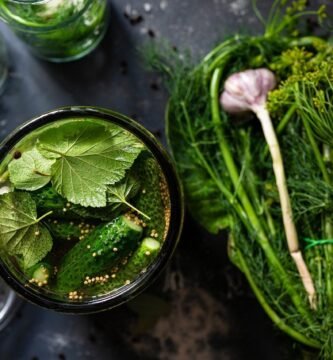 Conservación de alimentos por fermentación