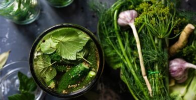 Conservación de alimentos por fermentación