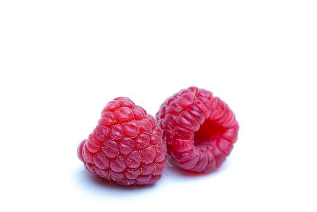 Polifenoles y su papel antioxidante‌ en la kombucha