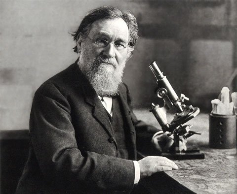 Elie Metchnikoff