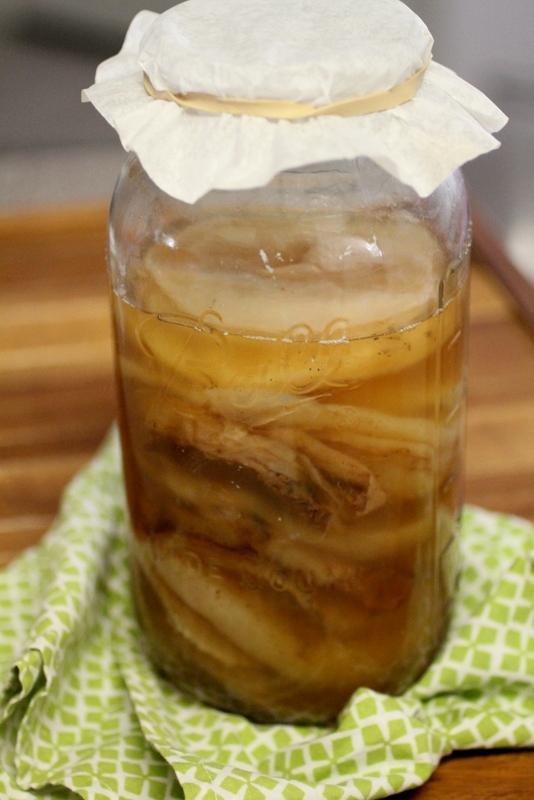 Impacto de la calidad de los ingredientes en la salud del SCOBY