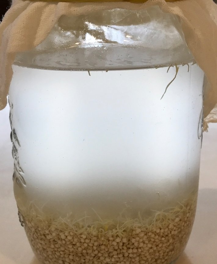 Proceso de Fermentación