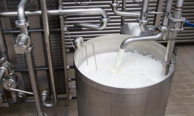 Proceso de pasteurización y enfriamiento de la leche