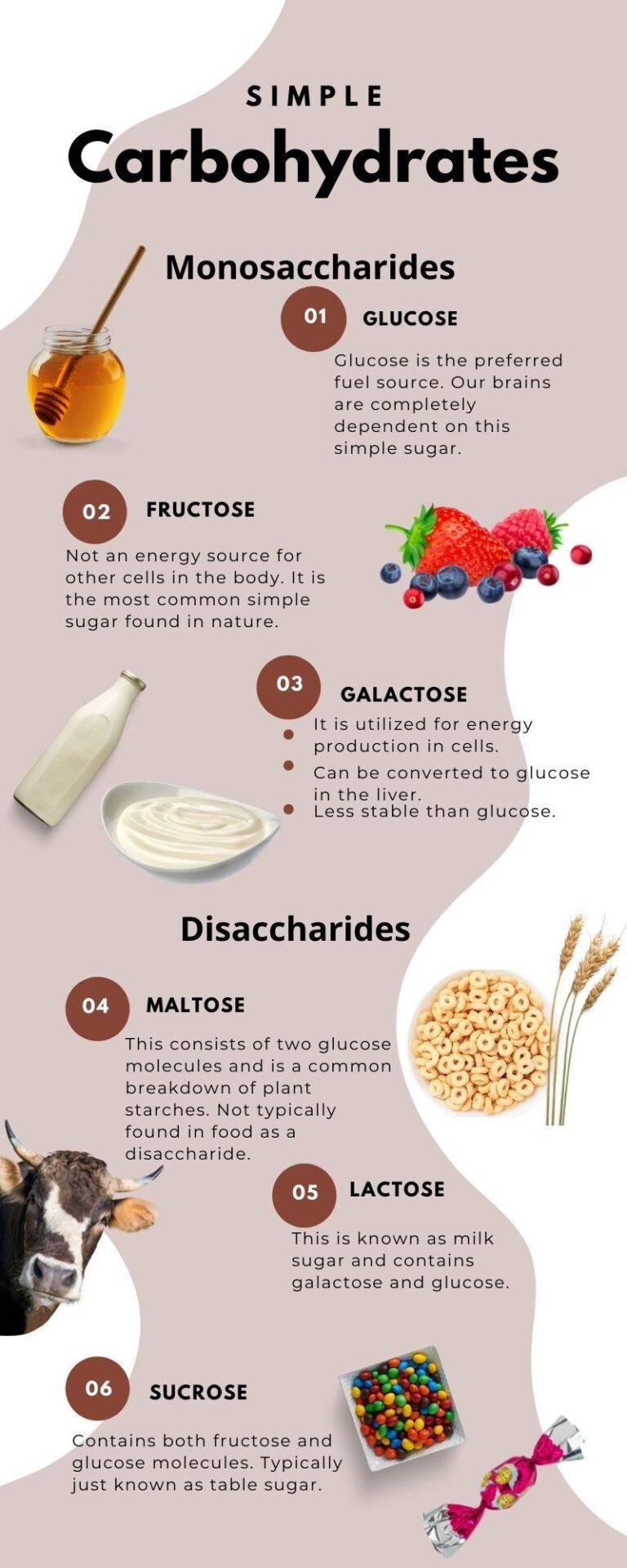Azúcares simples y complejos ‌en la fermentación: una​ revisión ​de sus⁣ características