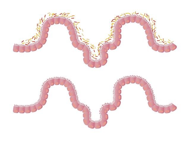 Relación entre la microbiota intestinal y la salud mental