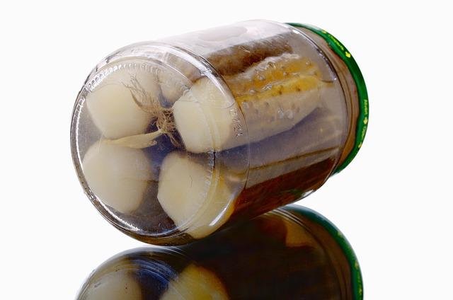 Beneficios nutricionales y probióticos de los fermentos en salmuera