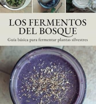 Explora la Cocina Vegana: Conservas, Fermentos y Quesos