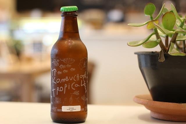 Cómo hacer kombucha en casa