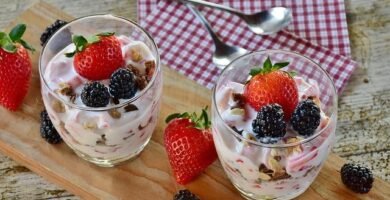 Proceso de fermentación del yogur