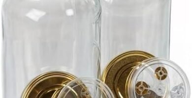 Los Mejores Tarros para Fermentación: Guía Completa 2023