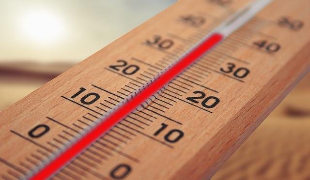 Control de temperatura: Estrategias para optimizar la fermentación de levadura