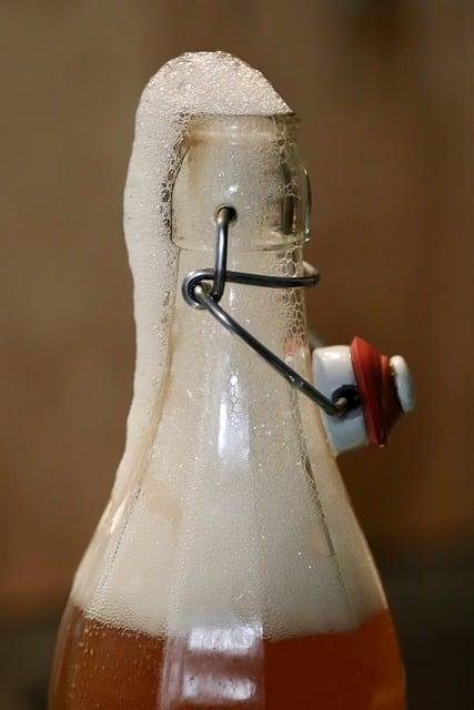Beneficios para la salud asociados a los alimentos fermentados