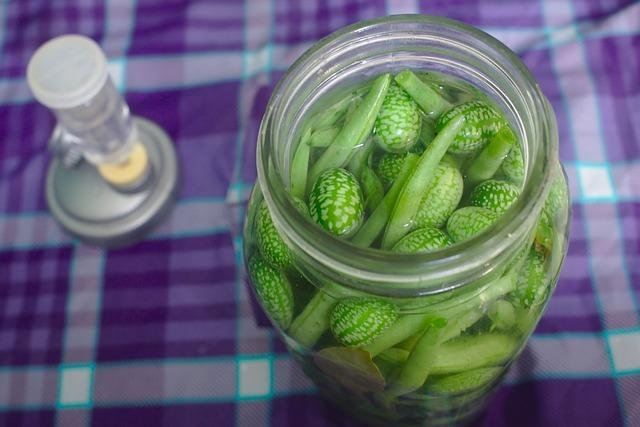 Introducción a la fermentación de salmuera y su historia