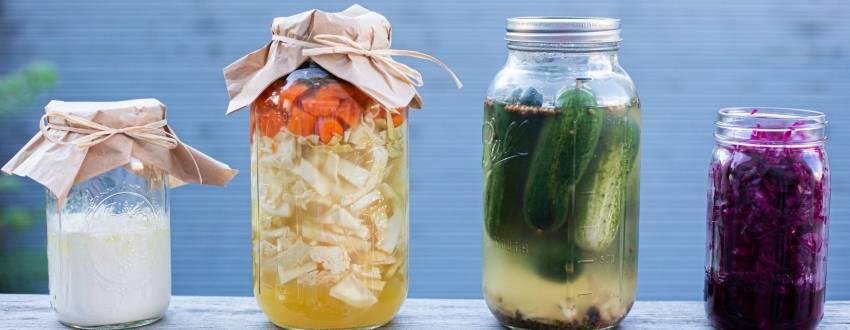Recomendaciones para iniciar la fermentación en casa