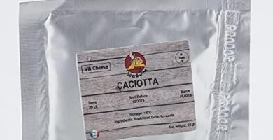 Descubre los Mejores Cultivos de Queso para Hacer en Casa
