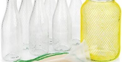 Descubre los Mejores Kits de Elaboración de Bebidas Probioticas