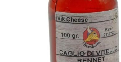 Descubre los Mejores Kits para Hacer Queso y Cerveza Casera