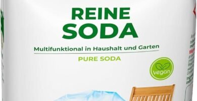Top Productos Naturales para Limpieza y Aromatización del Hogar