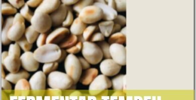 Descubre Delicias Veganas: Guías y Recetas Innovadoras