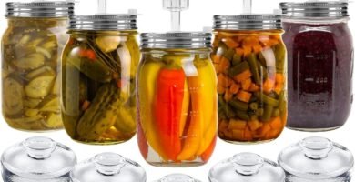 Los Mejores Kits de Fermentación para Principiantes en Casa