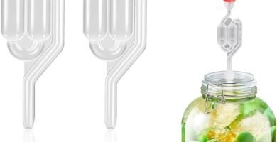 Guía de Fermentación: Tarros y Accesorios Esenciales