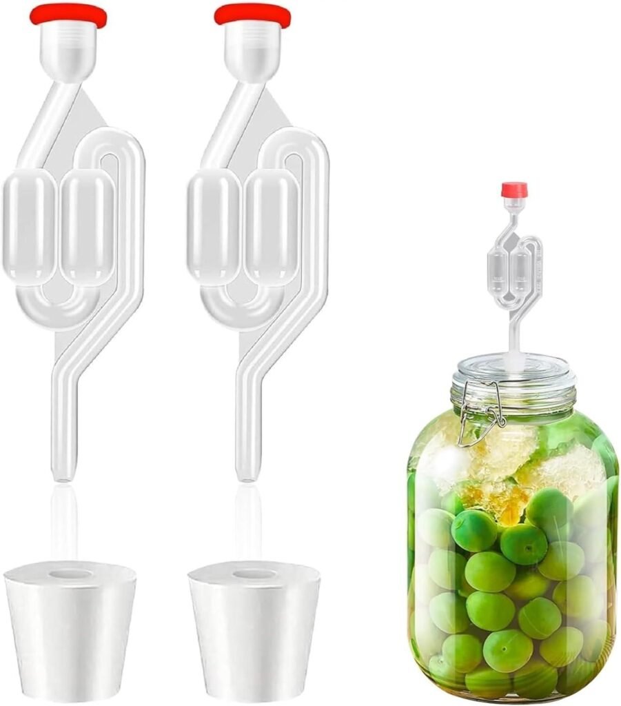 Guía de Fermentación: Tarros y Accesorios Esenciales