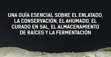 Transforma tu Cocina: Top Guías de Fermentación y Conservación