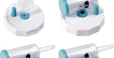 Descubre los Mejores Kits y Guías para Fermentación en Casa