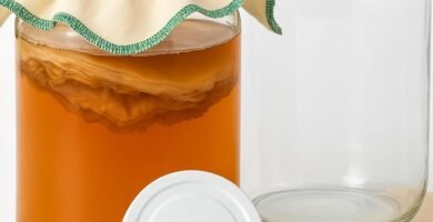 Los Mejores Tarros de Cristal para Fermentación y Conservas
