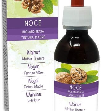 Descubre los Mejores Extractos y Fermentos Frutales Naturales