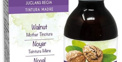 Descubre los Mejores Extractos y Fermentos Frutales Naturales