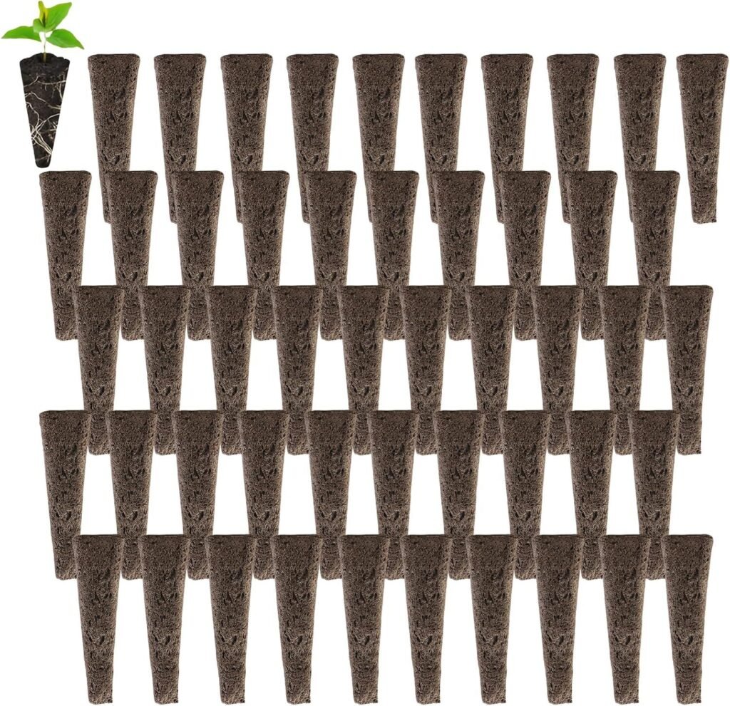 Top 2 Kits Esenciales para Cultivar Brotes y Semillas en Casa