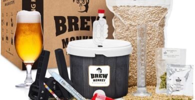 Los Mejores Kits de Cerveza Artesanal para Empezar a Fermentar