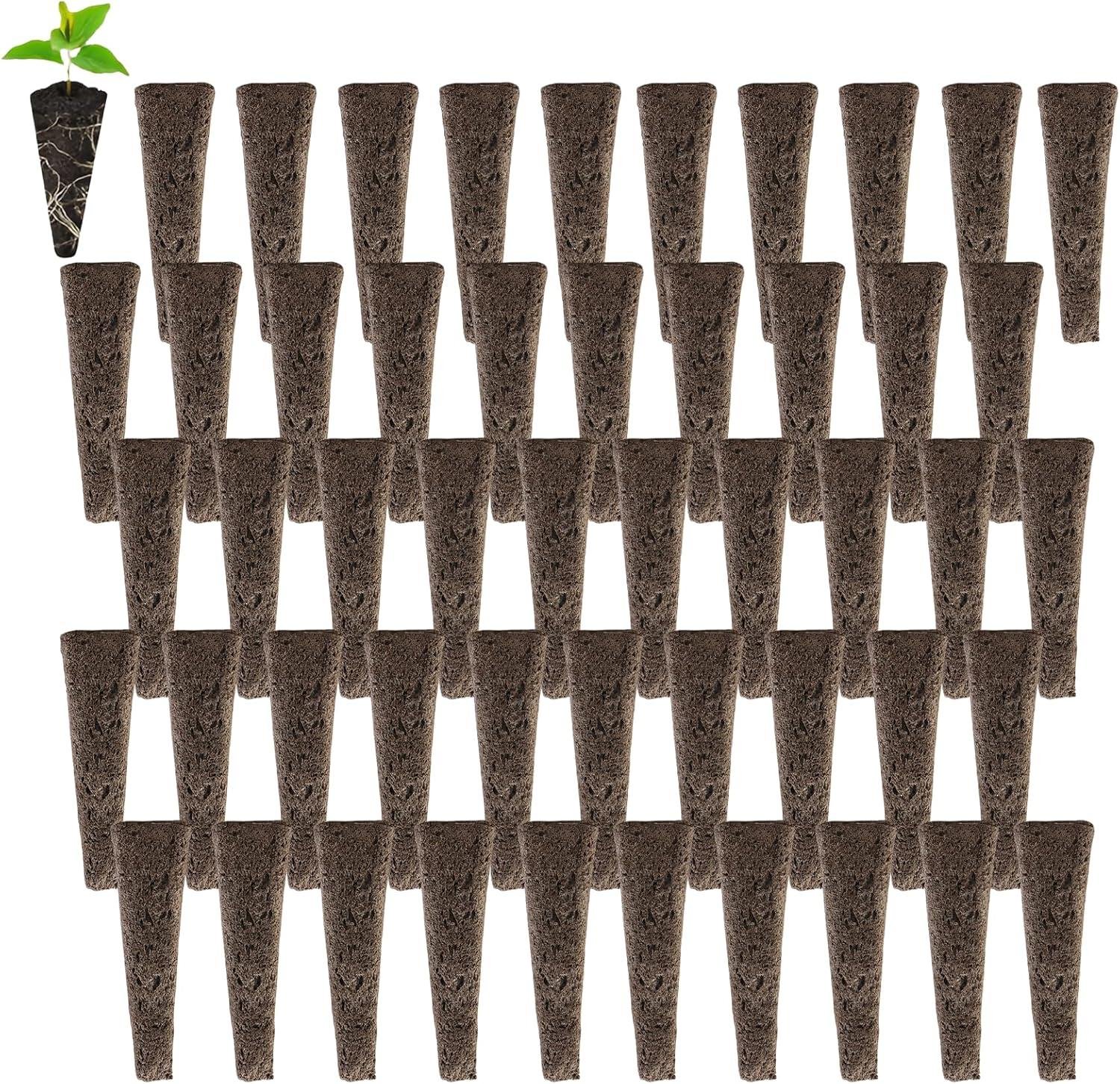 top 2 Kits Esenciales para Cultivar Brotes y semillas en ⁣Casa